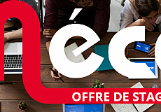 Offre de stage